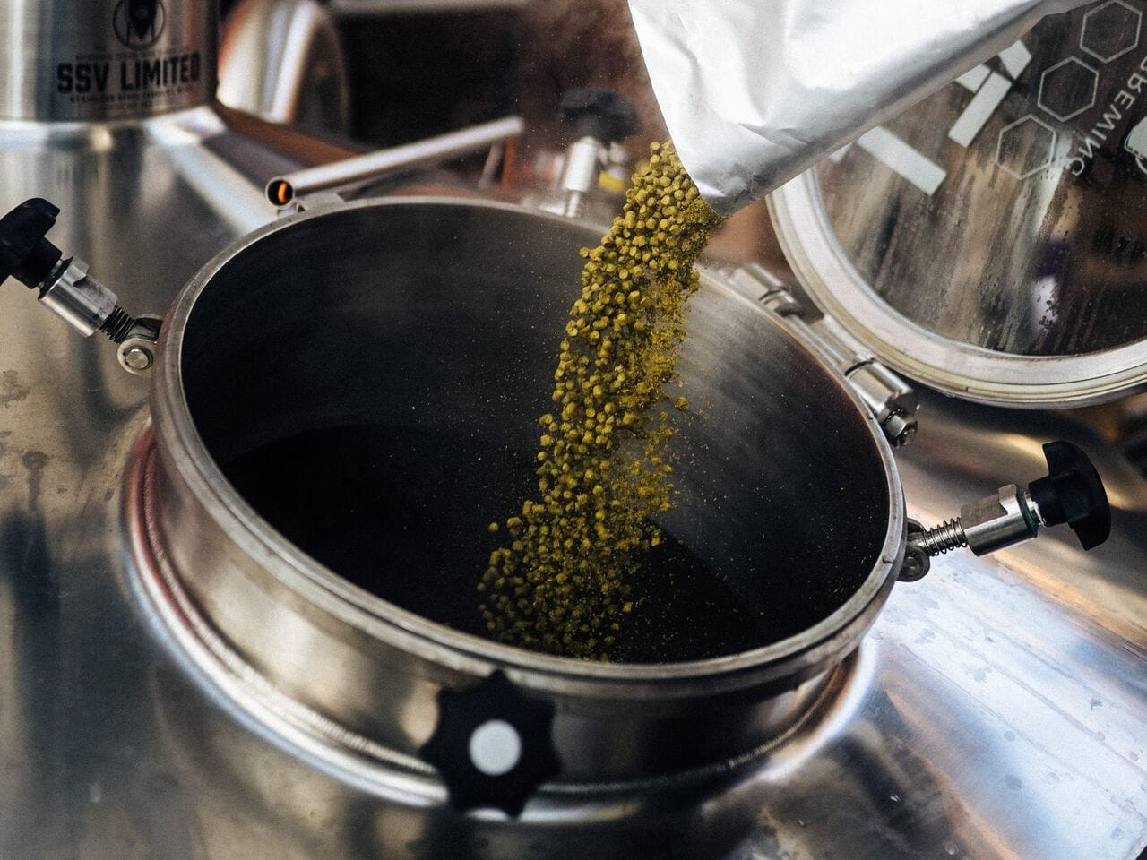 Infographie : les houblons les plus couramment utilisés dans les Hazy IPA