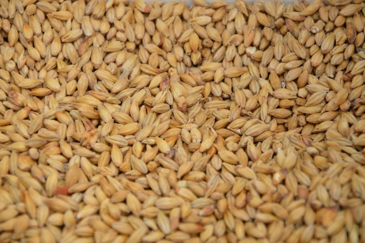Création du premier malteur mondial avec la finalisation de l'acquisition de United Malt Group par Malteries Soufflet