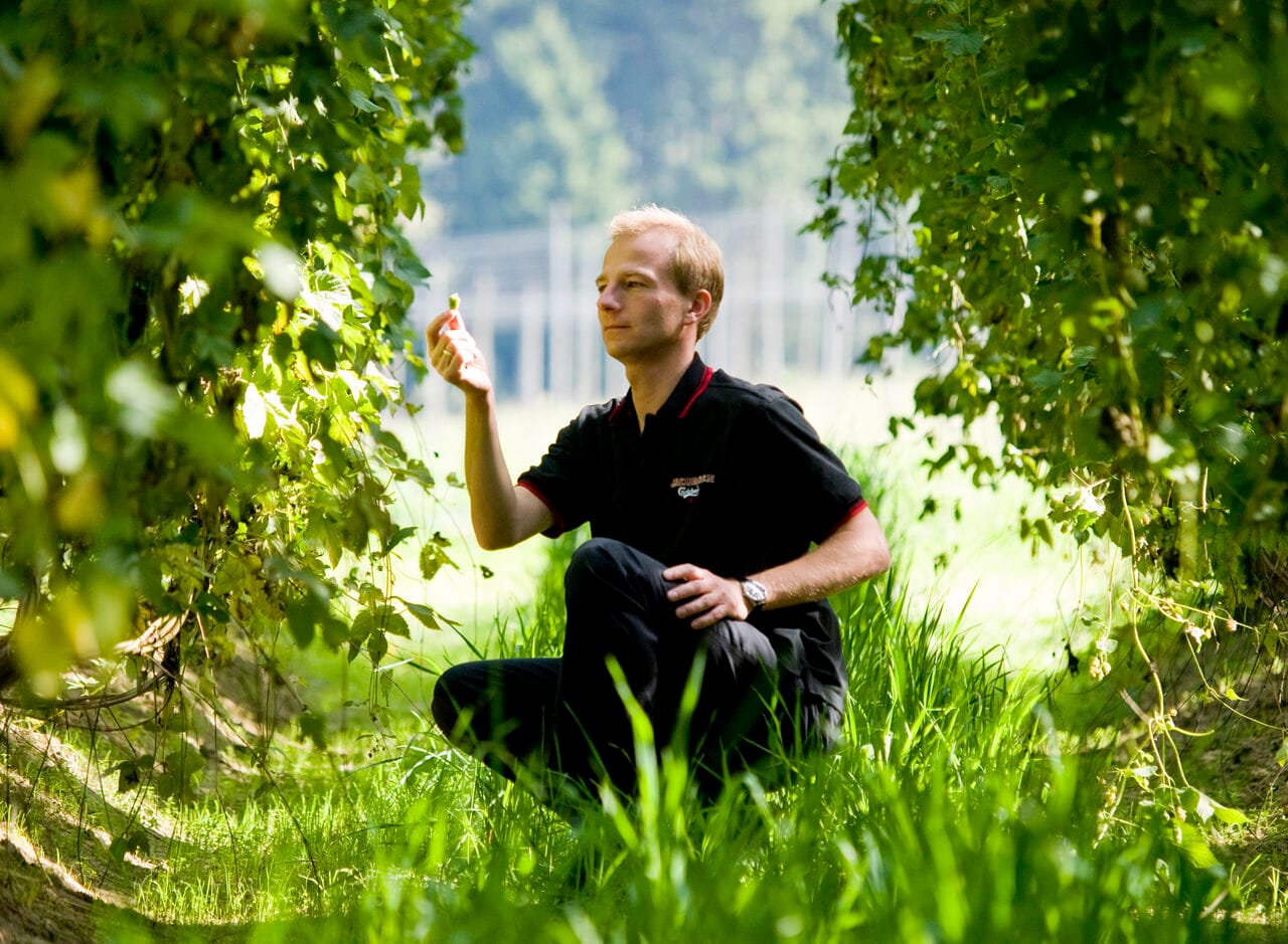 Brasseries Kronenbourg et la Fondation Brasseries Kronenbourg, 5 ans d’engagement en faveur de la filière du houblon